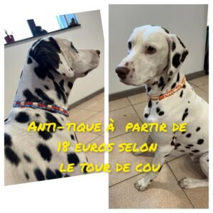Collier anti-tique & puce naturel pour animaux, perles céramique EM - Fait Main sur Commande